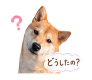 839896438