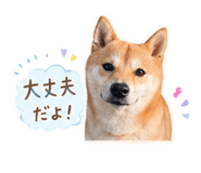 839896440