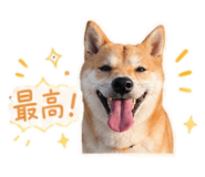 839896444