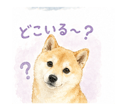 839897400