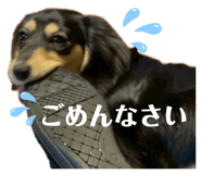 839897584