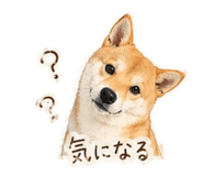 839897678