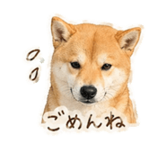839897681