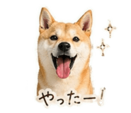 839897690