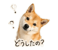 839897693