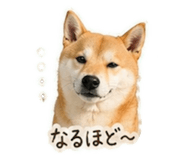 839897696