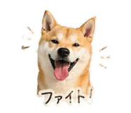 839897698