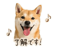 839897700
