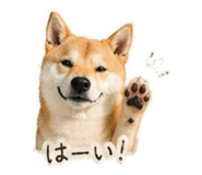 839897704