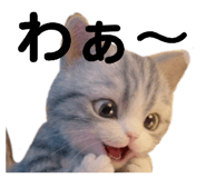 839898139