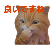 839898141