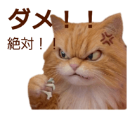 839898147