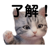 839898150