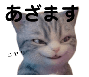 839898156