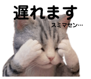 839898162