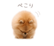 839898663