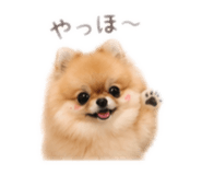 839898664