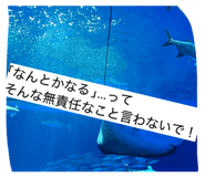 839905061