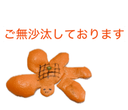 839905066