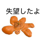 839905067