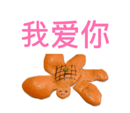 839905068
