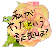 839905072
