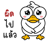 839905144