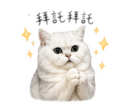 839905586