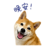 839905636