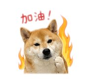 839905648