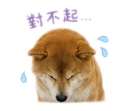 839905650