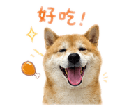 839905652