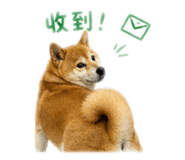 839905655