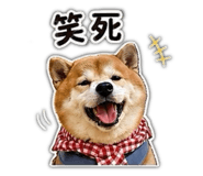 839905777