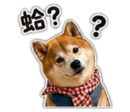 839905779