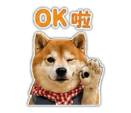 839905781