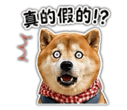 839905783