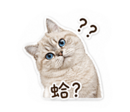 839906147