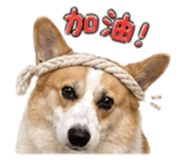 839906415