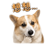 839906421