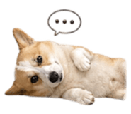 839906422