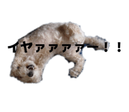 839910076