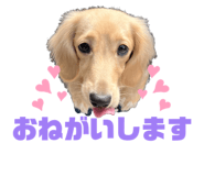 839911138