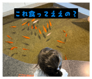 839911274