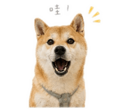 839915324