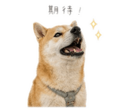 839915327