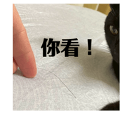 839916814
