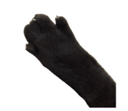 839916832
