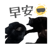 839916843