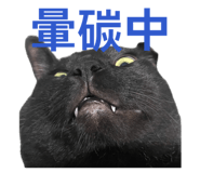 839916846